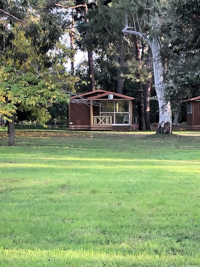 Camping L'Oso Porto-Vecchio  Eksteriør bilde