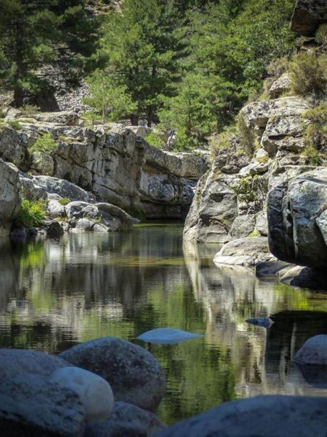 Camping L'Oso Porto-Vecchio  Eksteriør bilde