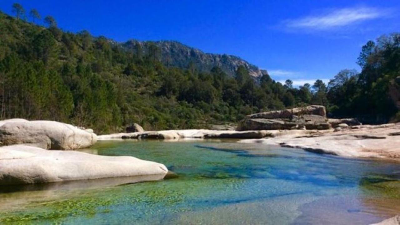 Camping L'Oso Porto-Vecchio  Eksteriør bilde