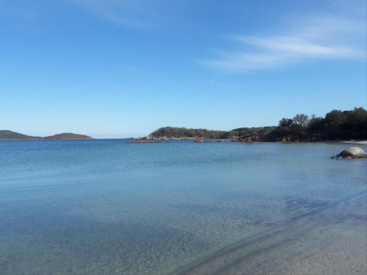 Camping L'Oso Porto-Vecchio  Eksteriør bilde