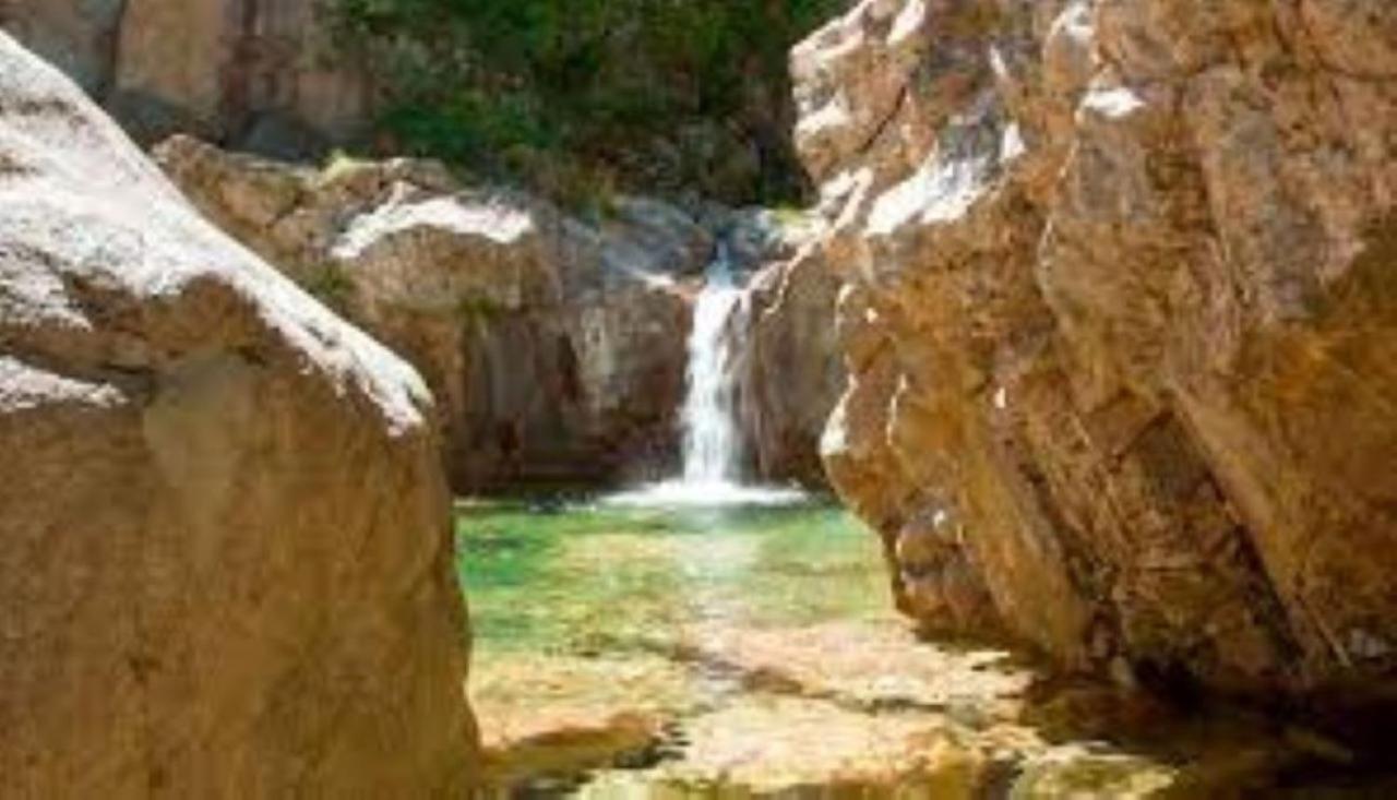 Camping L'Oso Porto-Vecchio  Eksteriør bilde